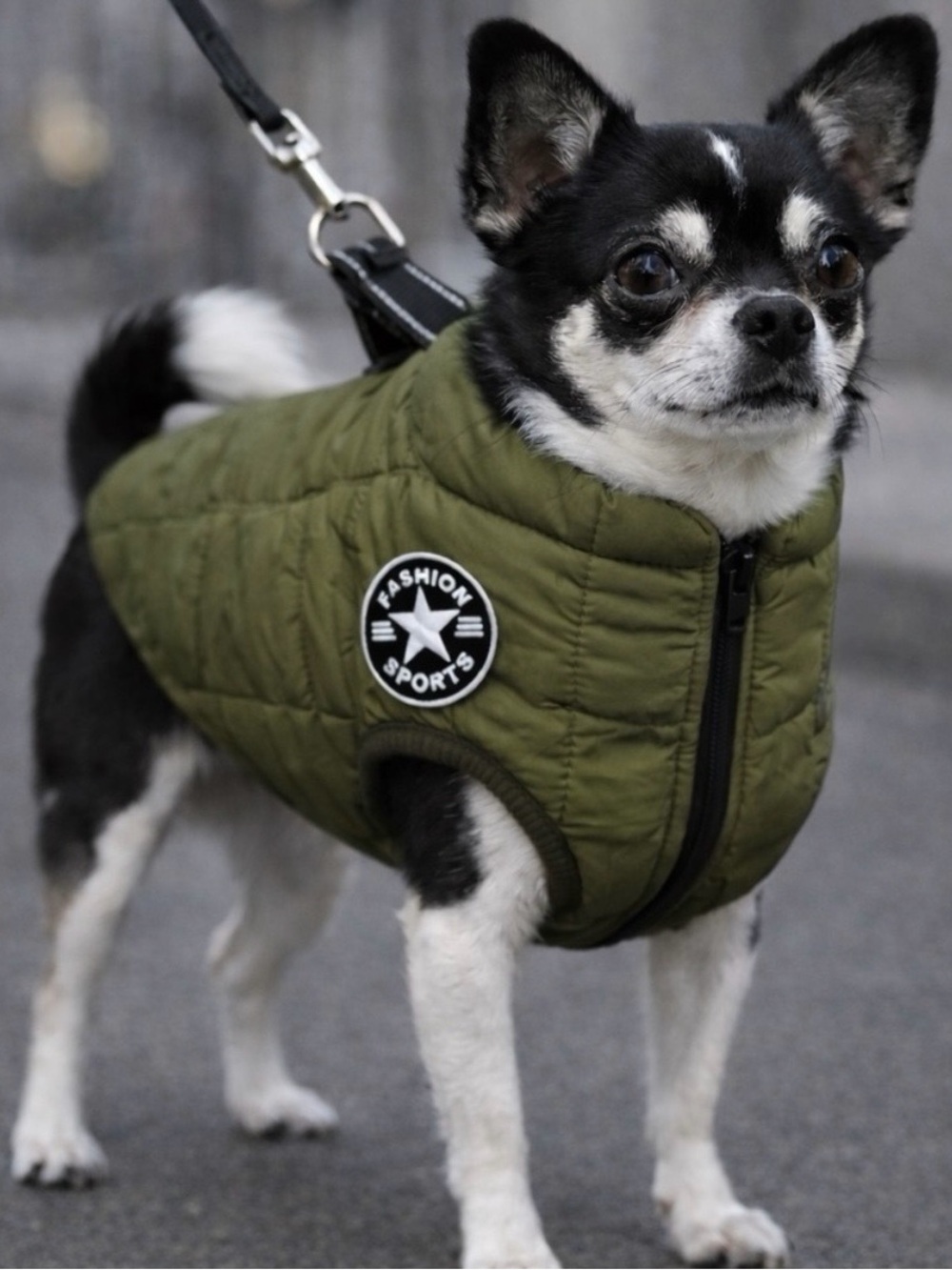Dogs Puffer Vest with Leash Attachment